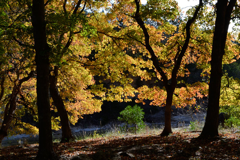 01_800x533.jpg