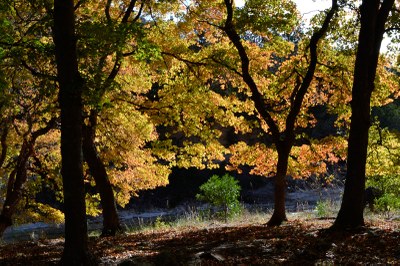 01_800x533.jpg