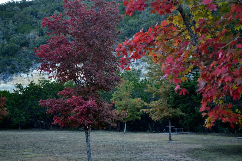 02_800x533.jpg