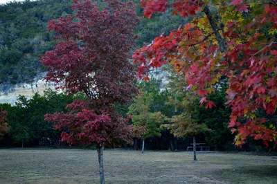 02_800x533.jpg