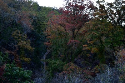 03_800x533.jpg