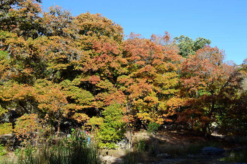 04_800x533.jpg