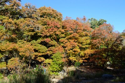 04_800x533.jpg