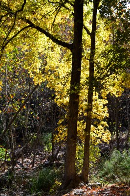 05_533x800.jpg