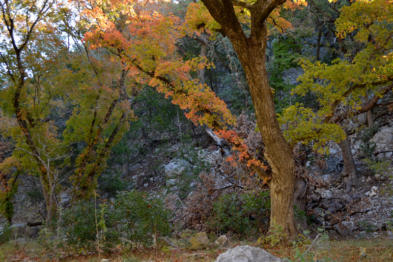 02_800x533.jpg