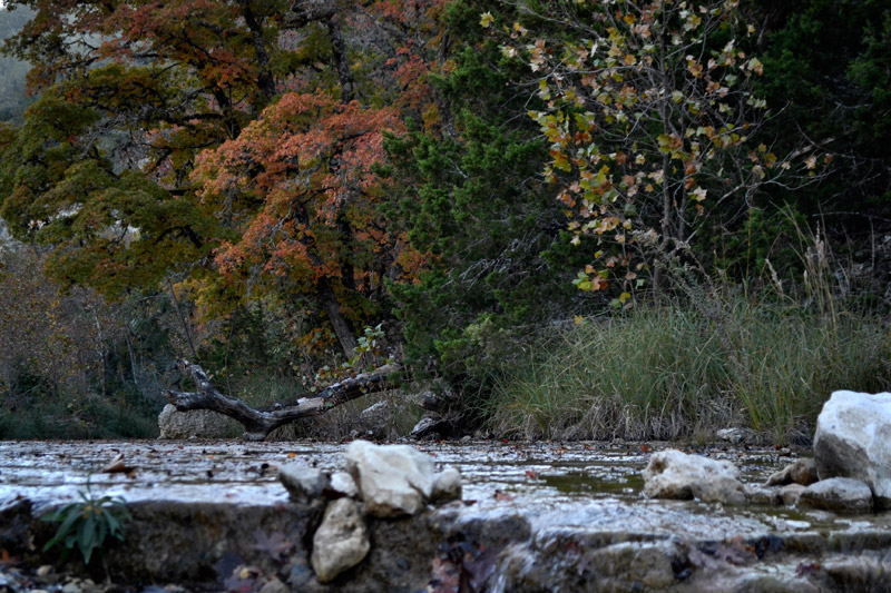 03_800x533.jpg