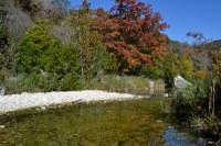 View a larger version of this Lost Maples Fall Foliage photo from November 17, 2014