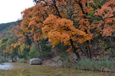 02_800X533.jpg