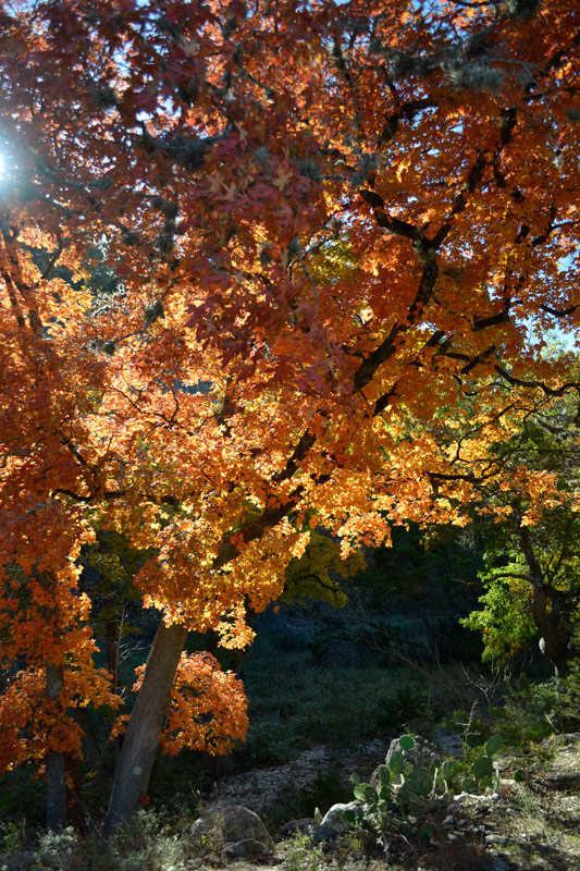 04_533X800.jpg