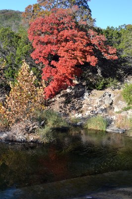 05_533X800.jpg