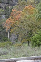 Fall foliage pic taken on Nov. 9, 2015