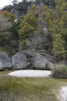 Fall foliage pic taken on Nov. 9, 2015