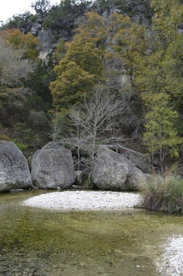 Fall Foliage Pic 4 from Nov. 9, 2015