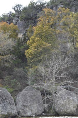 Fall Foliage Pic 5 from Nov. 9, 2015