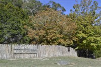 See a larger image of this fall foliage photo taken on Nov. 23, 2015
