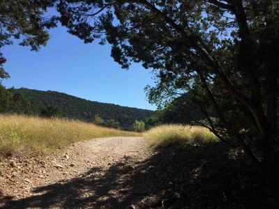 Maple Trail Meadow photo by Colette Nicholl at Lost Maples State Natural Area on Oct. 11, 2016