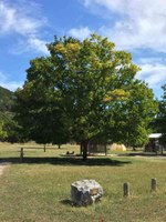 See a larger version of this Oct. 18, 2016 fall foliage photo at Lost Maples State Natural Area