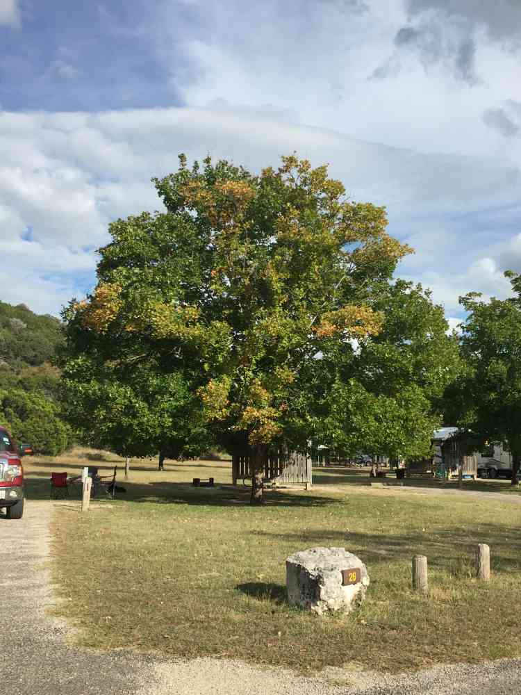 Oct. 25, 2016 Campground by Colette Nicholl
