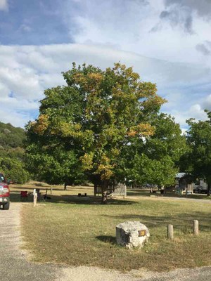 Oct. 25, 2016 Campground by Colette Nicholl