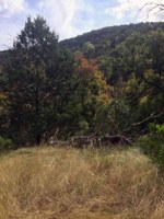 See a larger version of this Oct. 25, 2016 fall foliage photo at Lost Maples State Natural Area