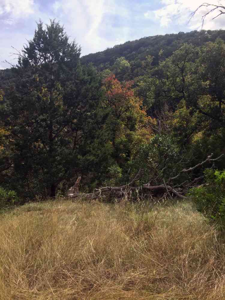 Oct. 25, 2016 East Trail photo by Thomas Redwine 