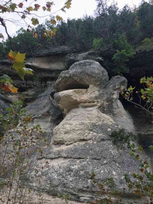 Oct. 25, 2016 Monkey Rock photo by Colette Nicholl