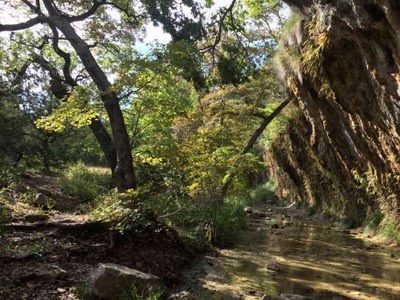 Oct. 25, 2016 Grotto photo by Colette Nicholl