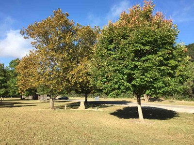 Nov. 1, 2016 photo of Day Use Area by Colette Nicholl