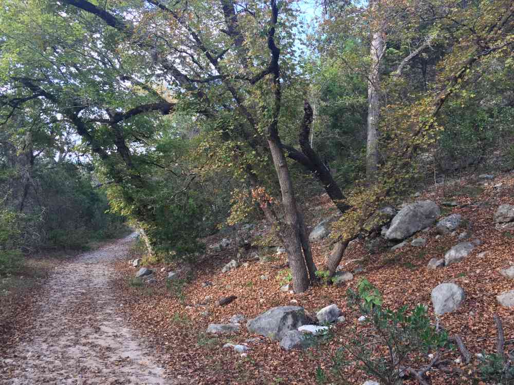Nov. 8, 2016 photo of a trail at Lost Maples State Natural Area, by Colette Nicholl