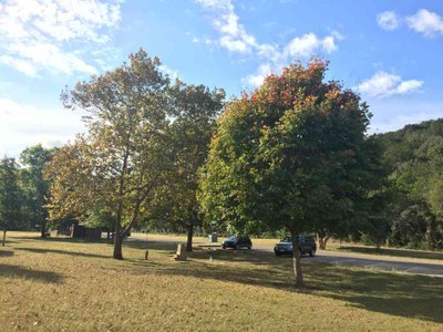 Nov. 8, 2016 photo of the Day Use Area at Lost Maples State Natural Area, by Colette Nicholl
