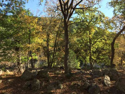 Nov. 14, 2016 photo of Maple Trail at Lost Maples State Natural Area, by Colette Nicholl