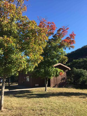 Nov. 15, 2016 photo of campground at Lost Maples State Natural Area, by Colette Nicholl