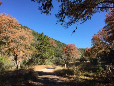 Nov. 21, 2016 photo of the East Trail at Maples State Natural Area, by Colette Nicholl