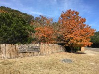 Entrance fence with tree nearby showing fall color