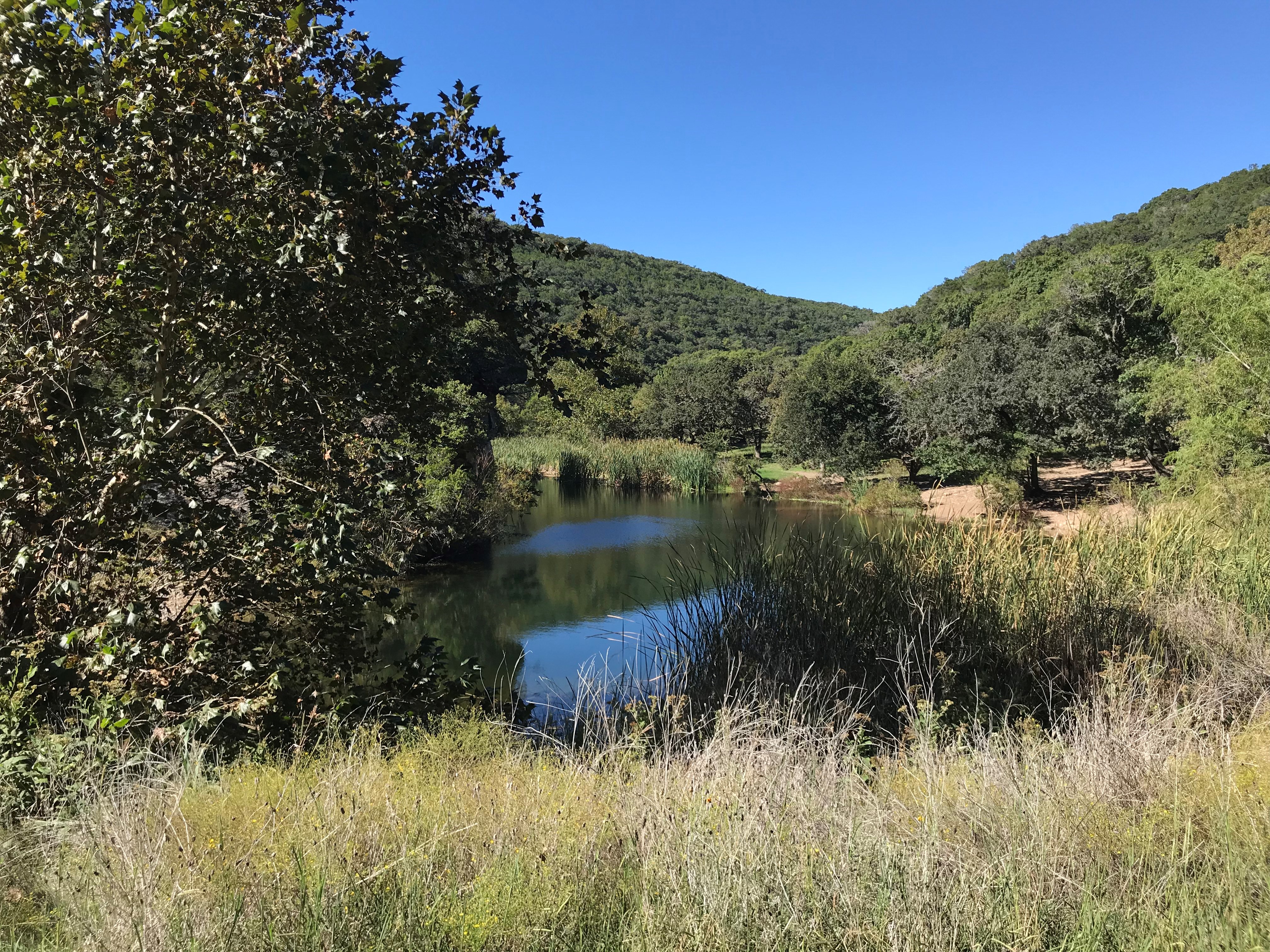 Oct. 18, 2017 Pond Photo 