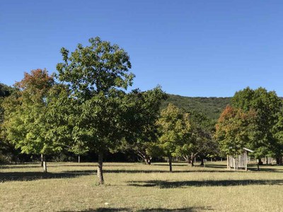 Oct. 30, 2017 Day Use Area Photo