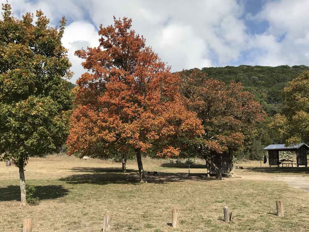 Nov. 3, 2017 Campground Photo