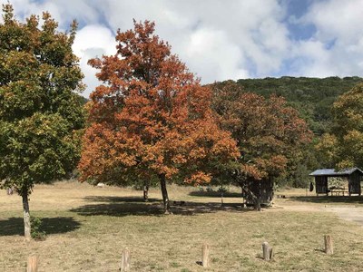 Nov. 3, 2017 Campground Photo