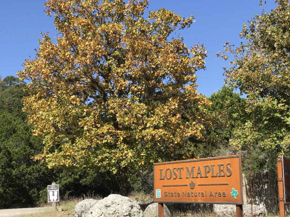 Nov. 6, 2017 Park Entrance Photo 