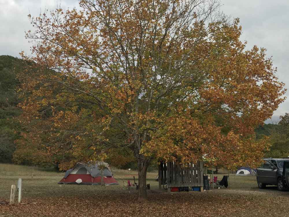 Nov. 12, 2017 Campground Foliage Photo