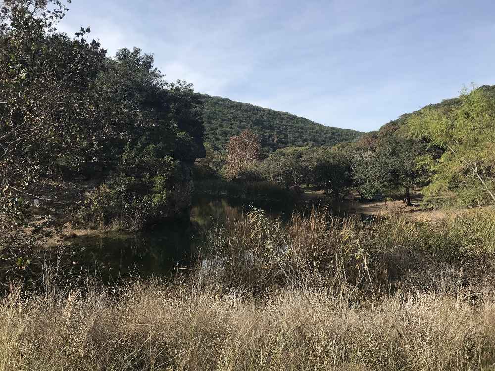 Nov. 21 2017 Park Pond Area Foliage Photo 