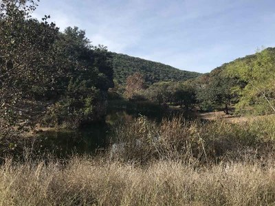 Nov. 21 2017 Park Pond Area Foliage Photo 