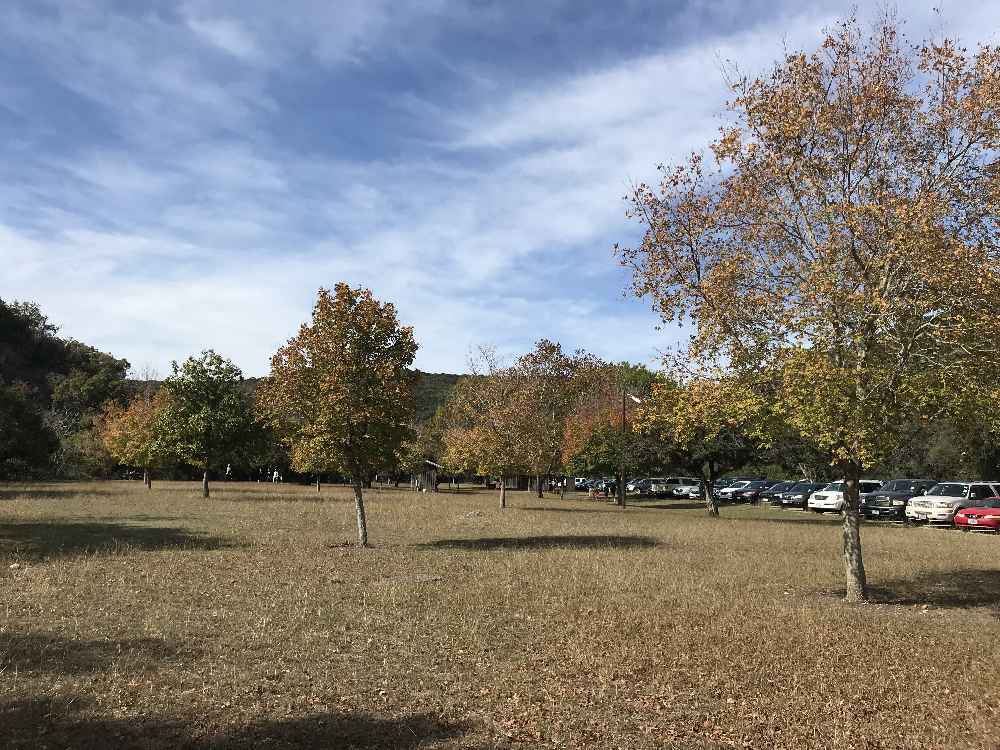 Nov. 21, 2017 Day Use Area Foliage Photo