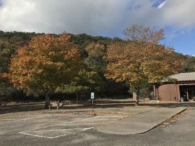 Nov. 27 2017 Park HQ Area Foliage Photo 