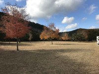See a larger version of this photo of foliage at the Day Use Area.
