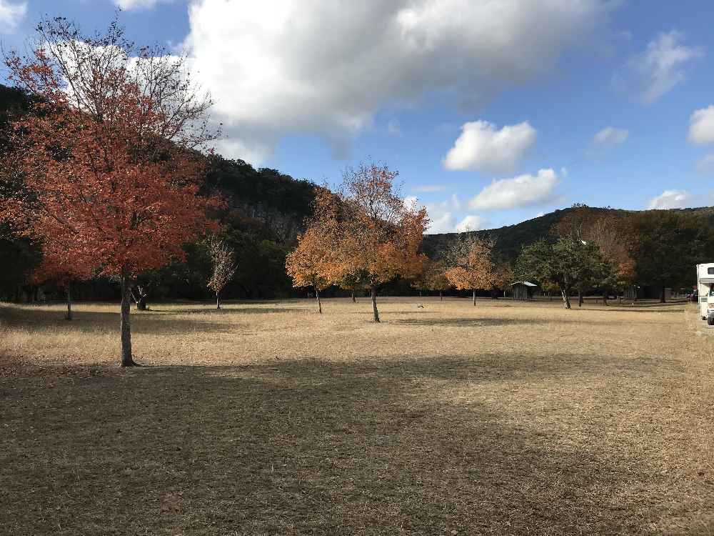 Nov. 27, 2017 Day Use Area Foliage Photo