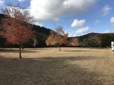 Nov. 27, 2017 Day Use Area Foliage Photo