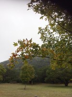 See a larger version of the third photo of the  Oct. 24, 2018 fall foliage report.