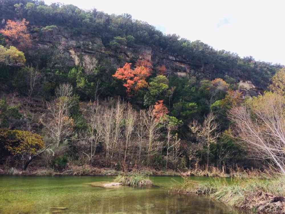 Lost Maples Fall Foliage Report Lost Maples State Natural Area 2018 Lost Maples State Natural Area Fall  Foliage Report Archive — Texas Parks & Wildlife Department