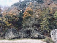 See a larger version of the sixth photo of the Nov. 7, 2018,  foliage report.